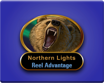 Northern Lights Reels