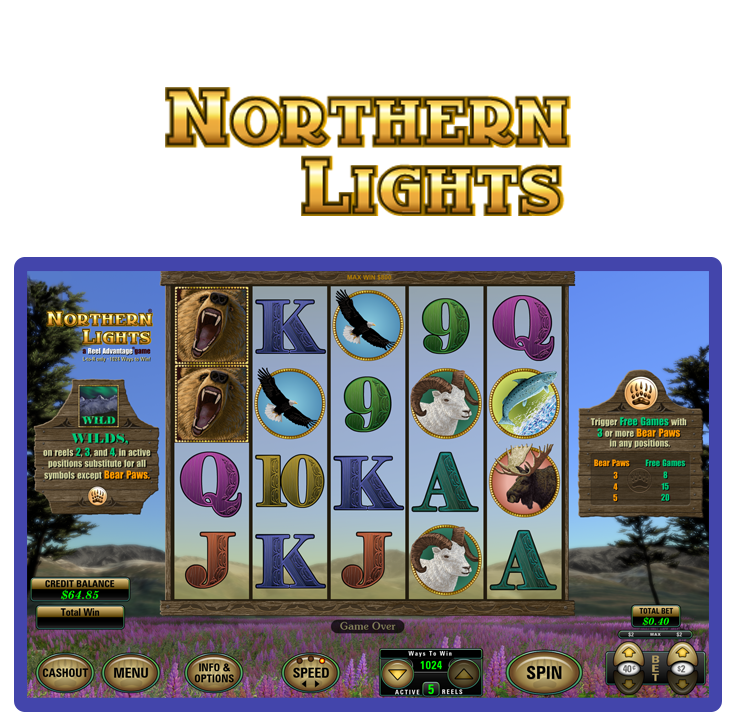 Northern Lights Reels screen shot